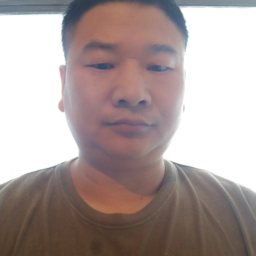 小蘑菇迎阳光的照片