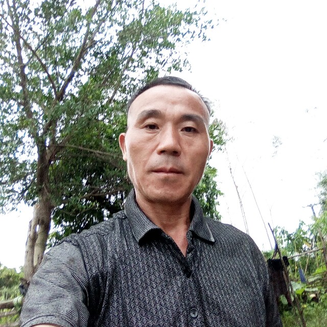 清秀花生的照片