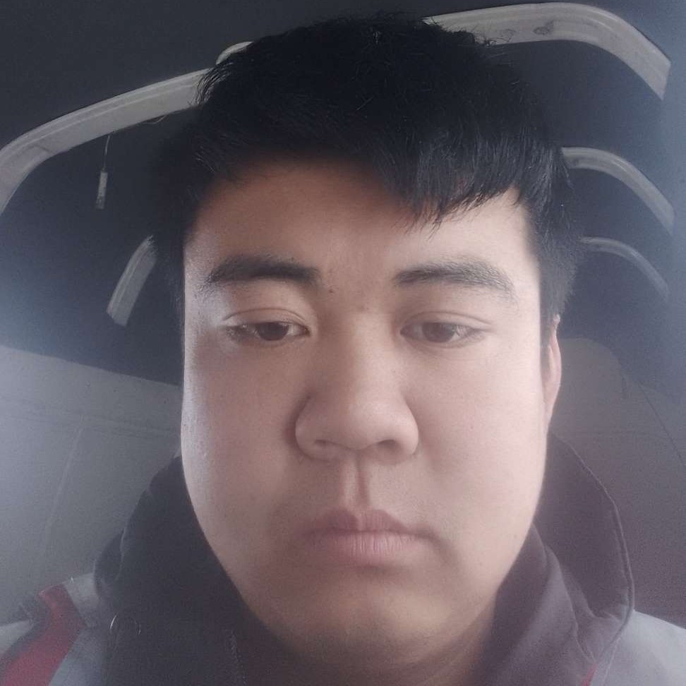 成就向鸡的照片