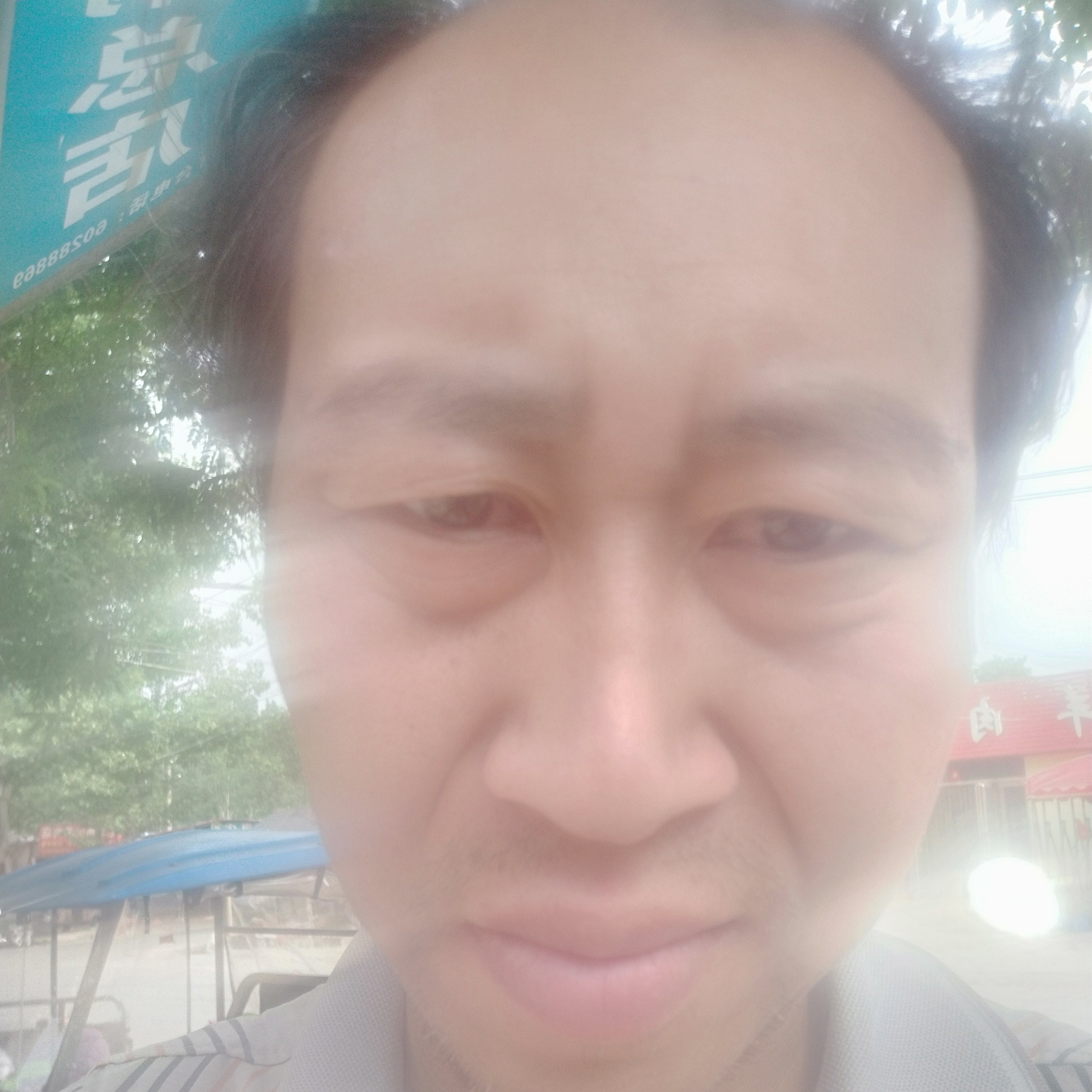 危机迎猫咪的照片