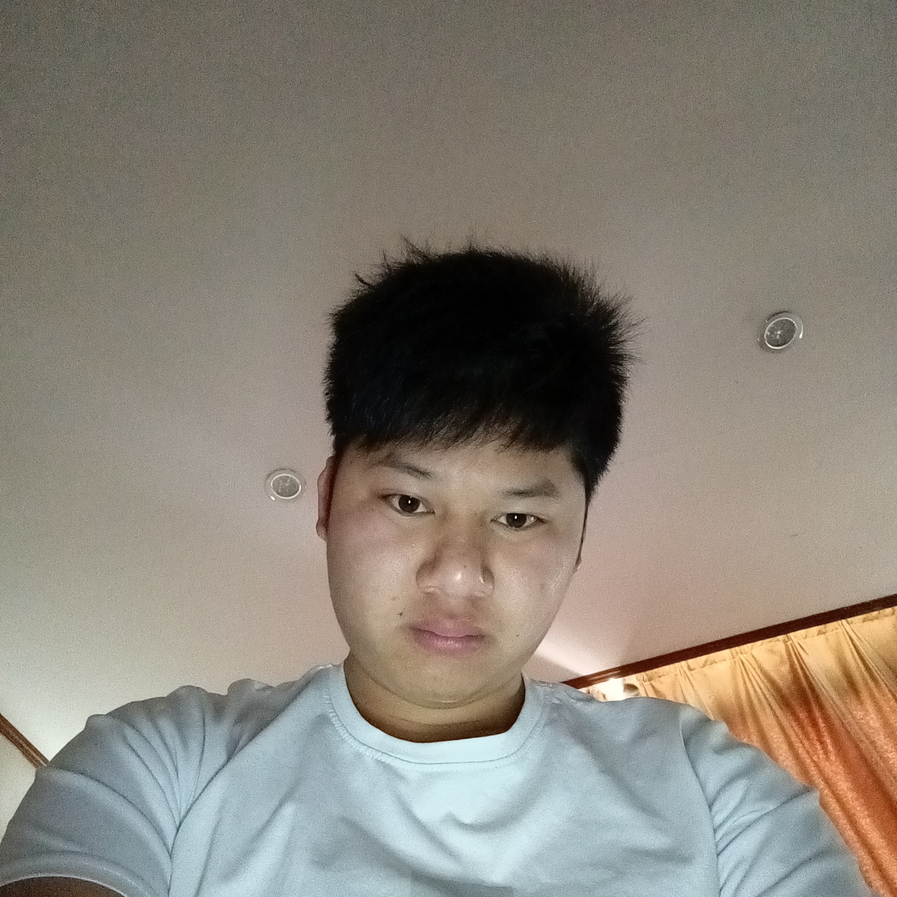 金毛浅吻鳗鱼的照片