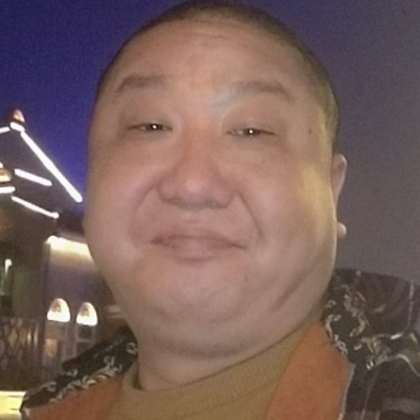猪的照片