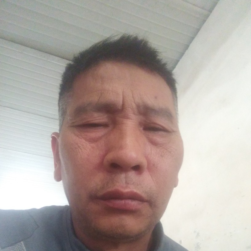 浮光踏实的照片