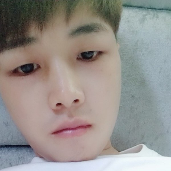 奔跑蝴蝶的照片