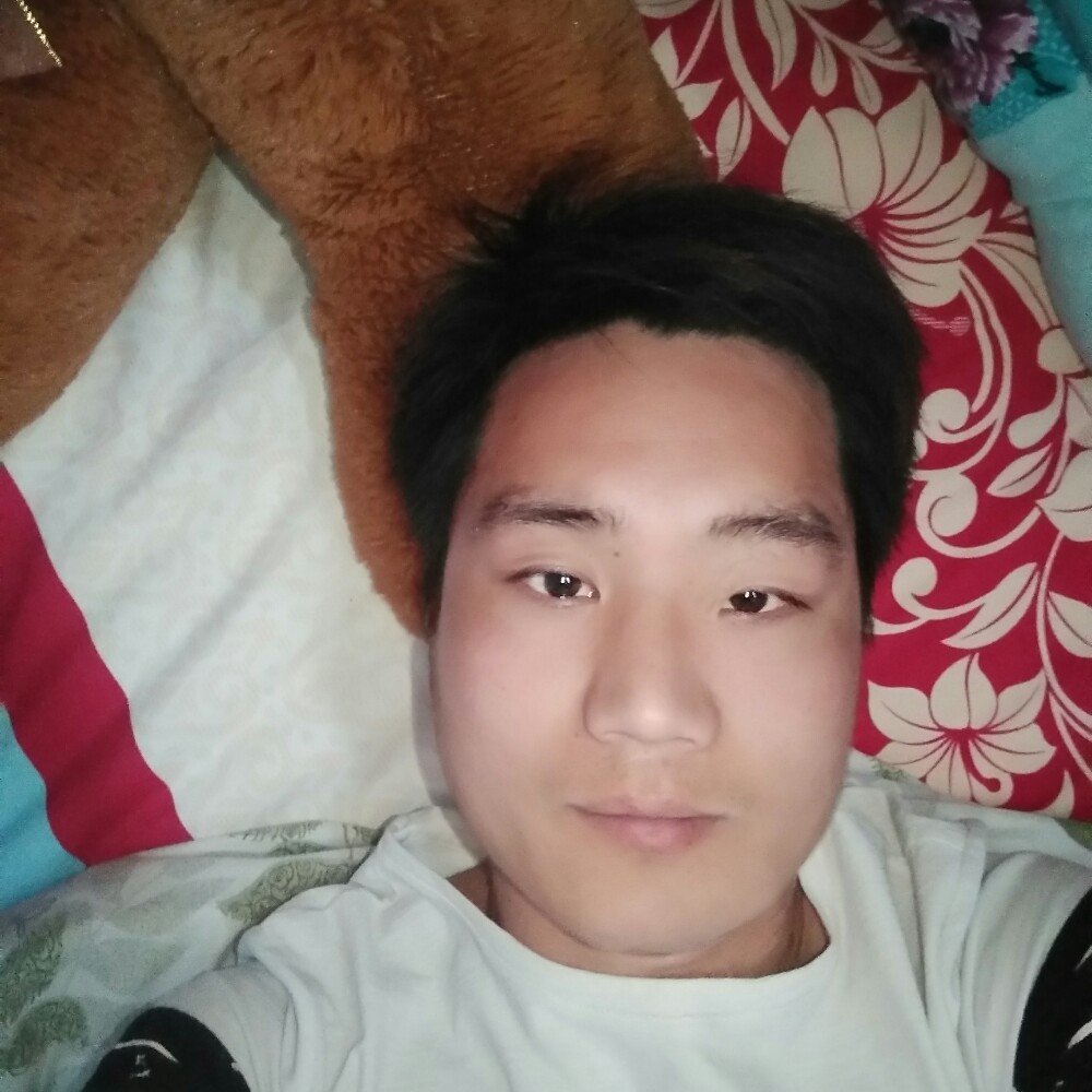 惊鸿怕孤独的照片