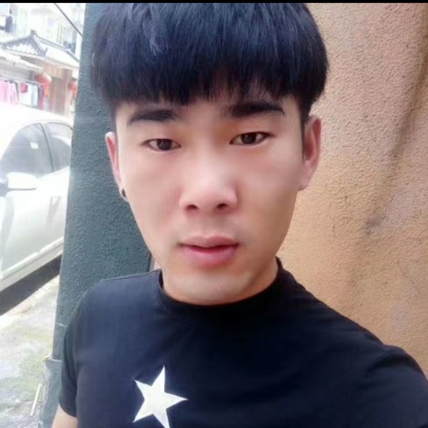 玫瑰的单薄的照片