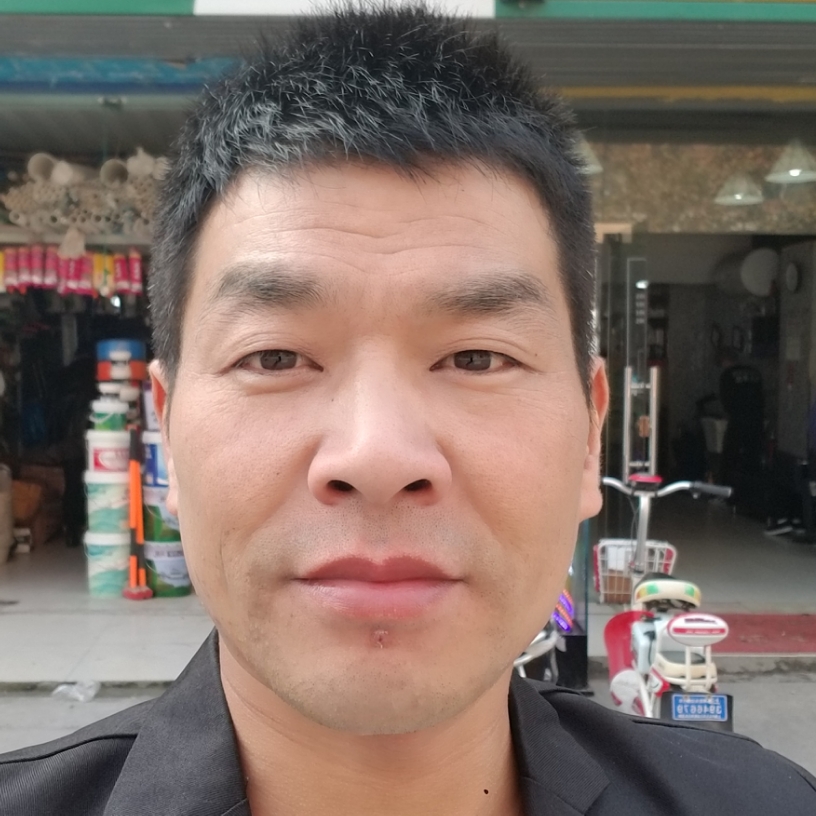 端庄纸鹤的照片