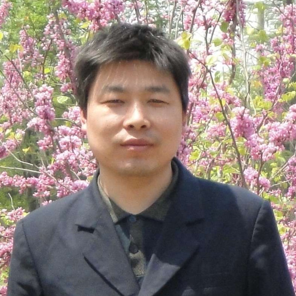 魁梧向康乃馨的照片