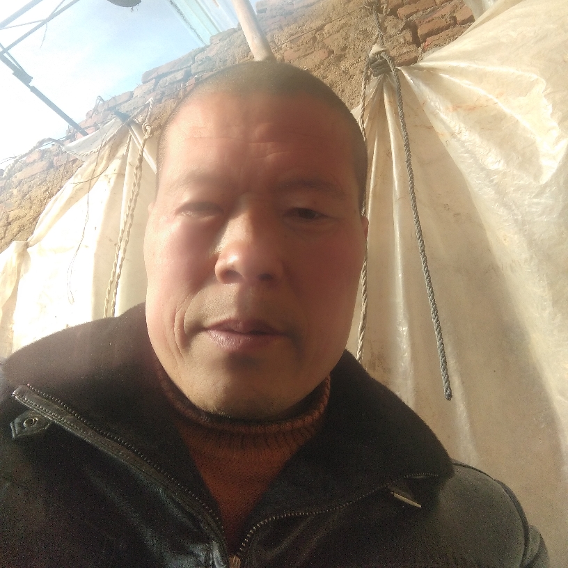 道路真理生命的照片