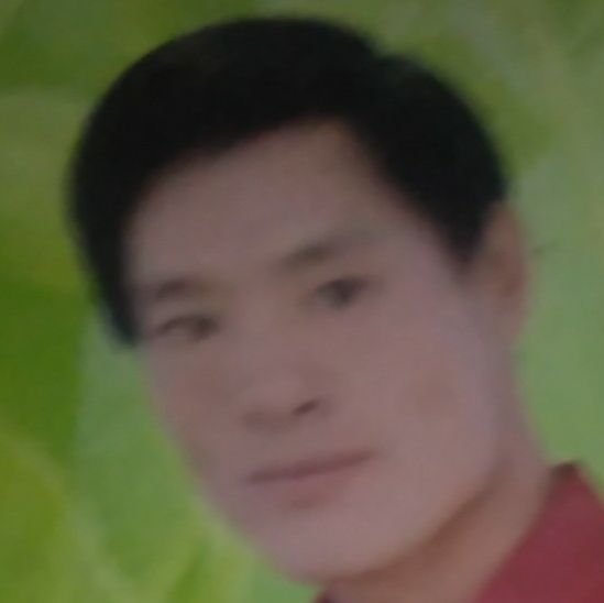 清脆吃醋小猫咪的照片