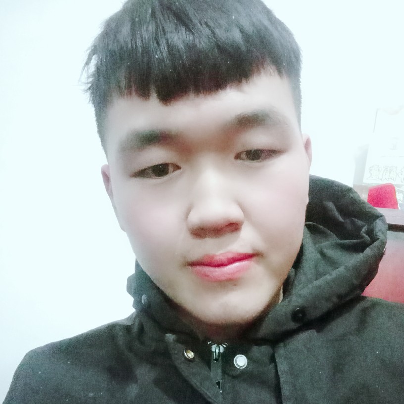 斯文白羊的照片