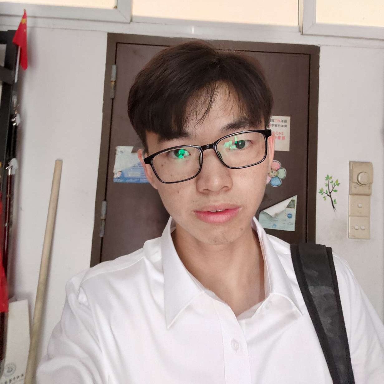 理智的呆瓜的照片