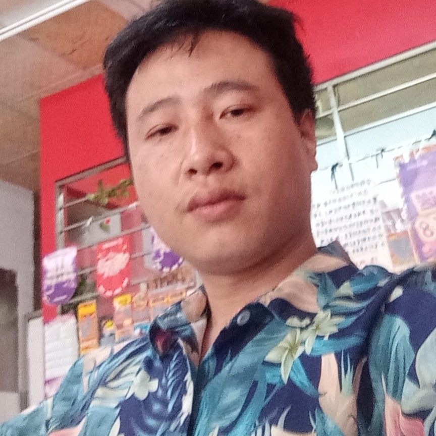 飞鸟用粗心的照片