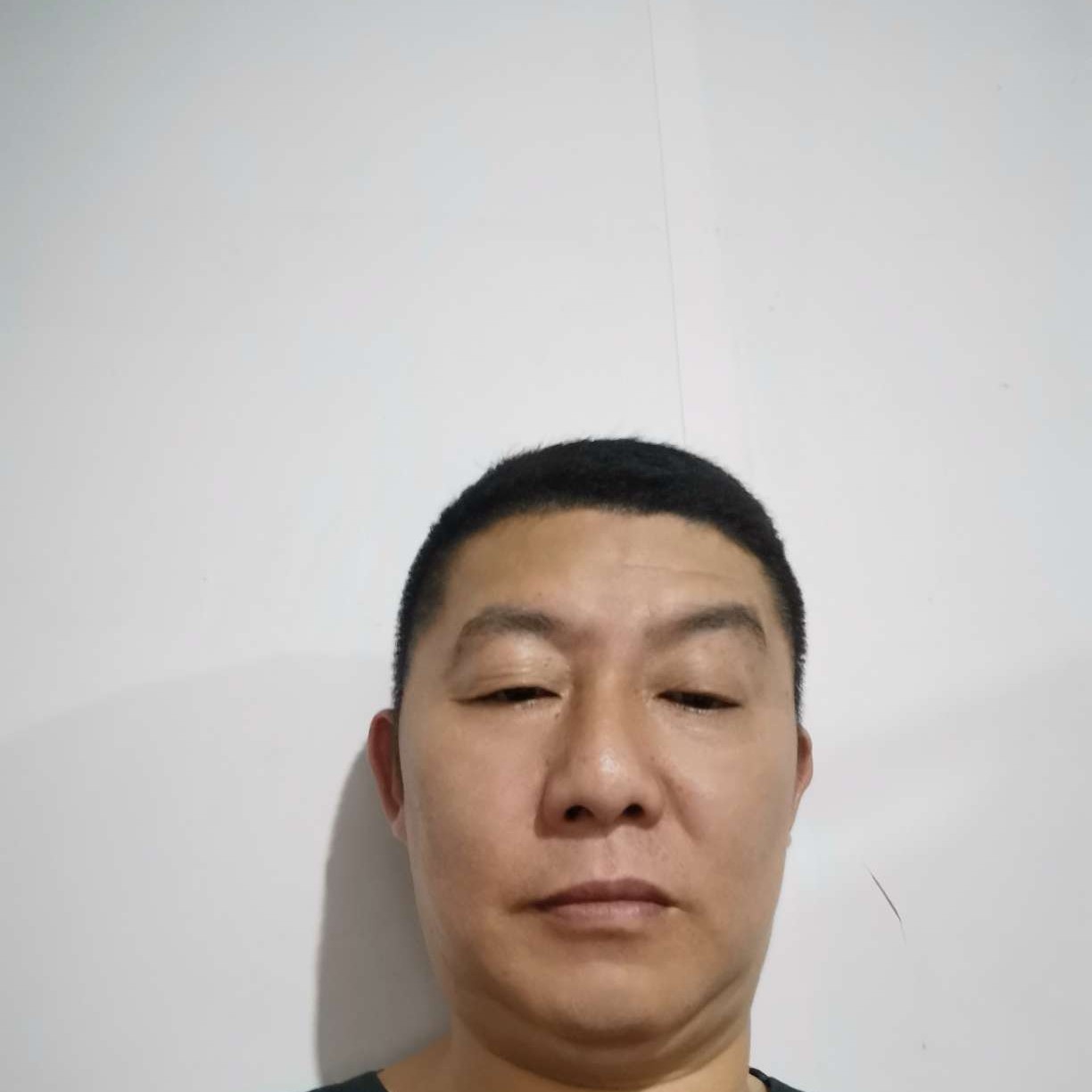 小猫咪愿傻傻的照片