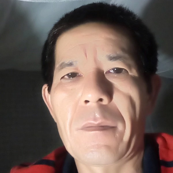 矫情灰狼的照片