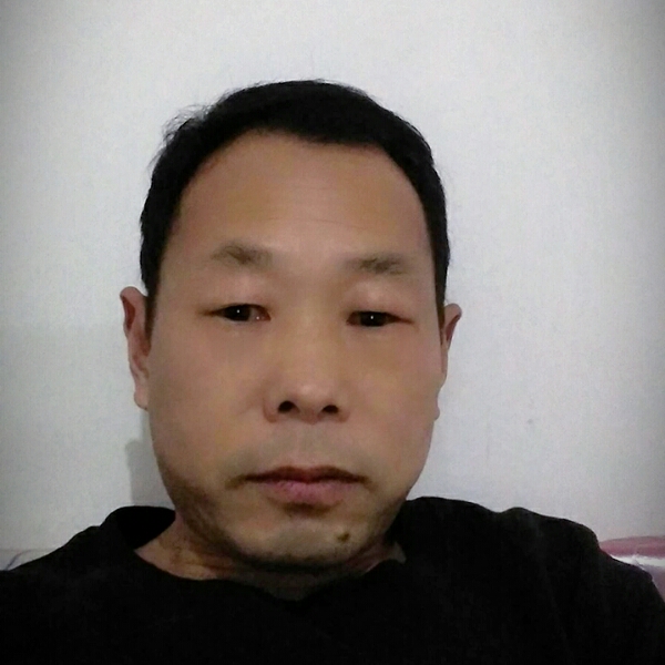 树生文格尔的照片