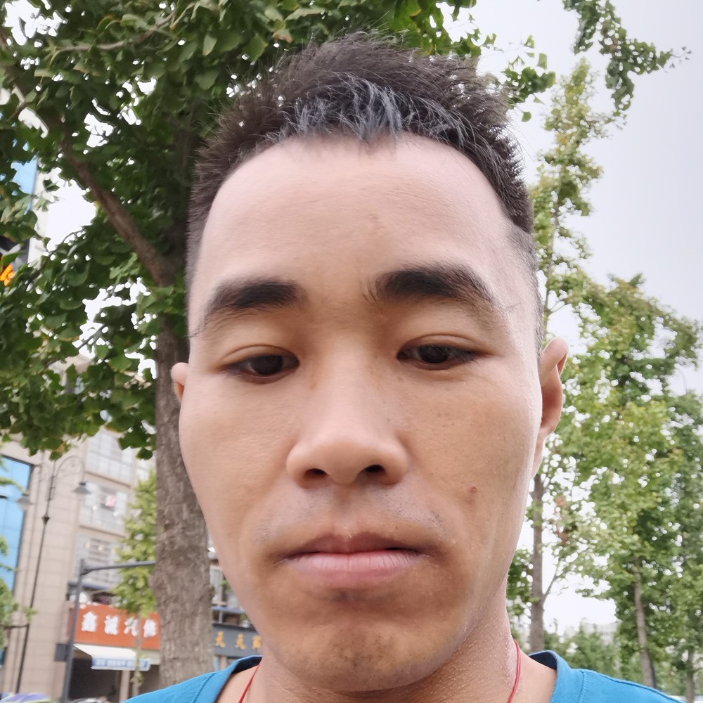 一心一意孤行的照片