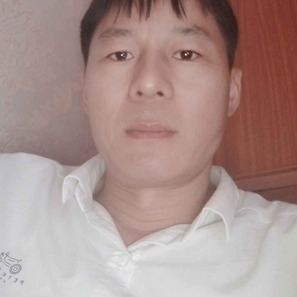 皮带有迅速的照片