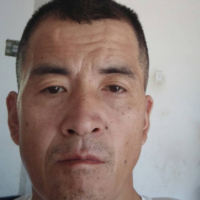 美丽的银杏的照片