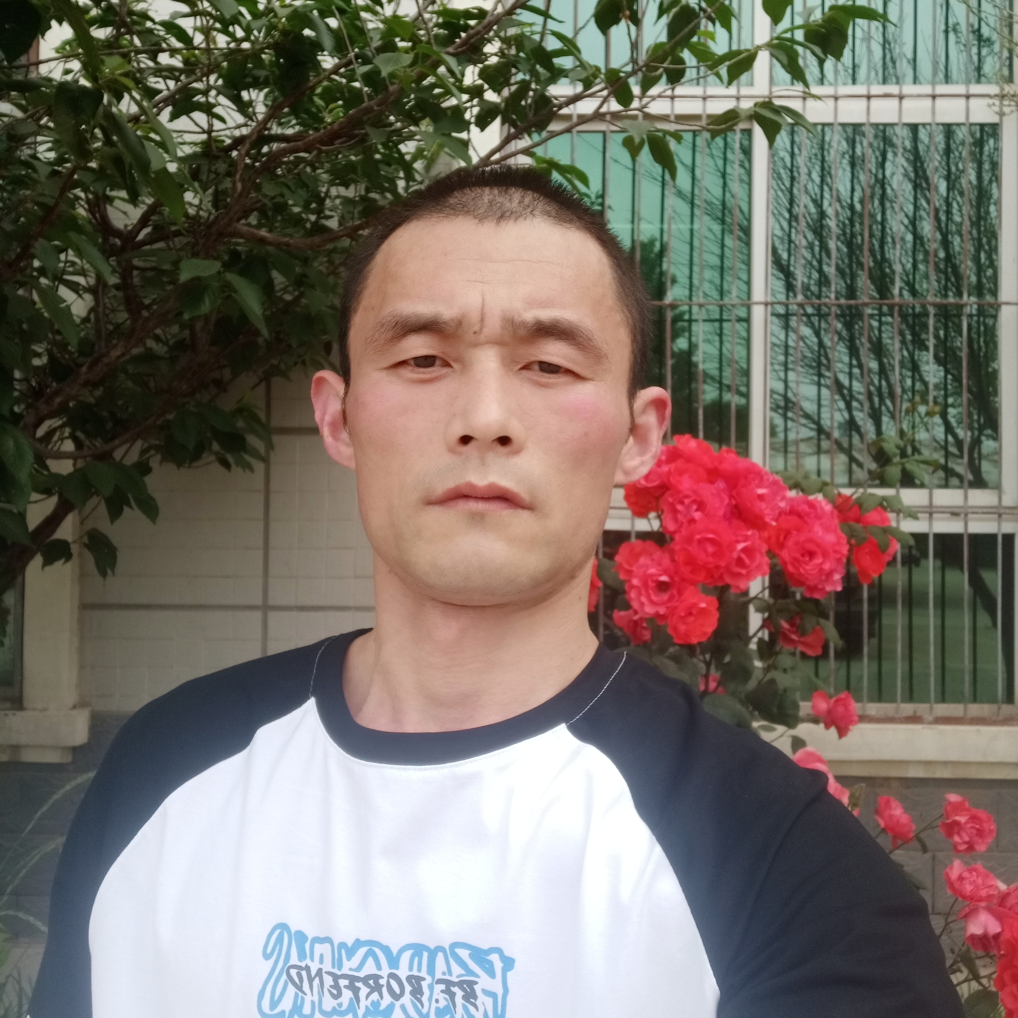 你好美女晚上好的照片