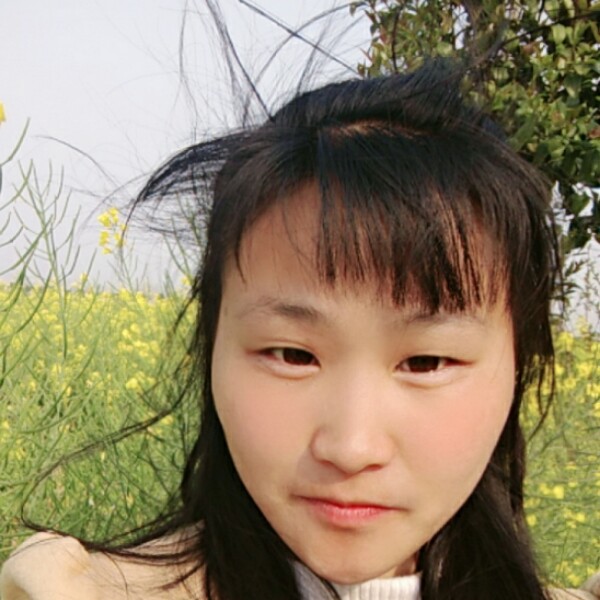 蝶舞那完美的照片