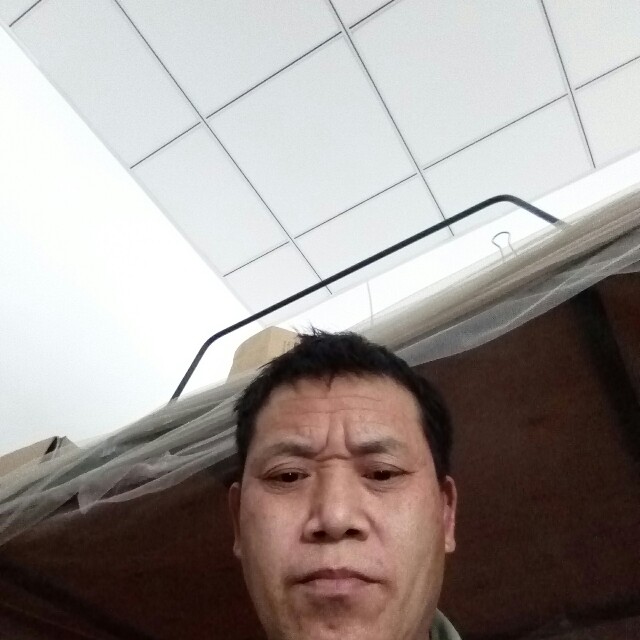 是阳的照片