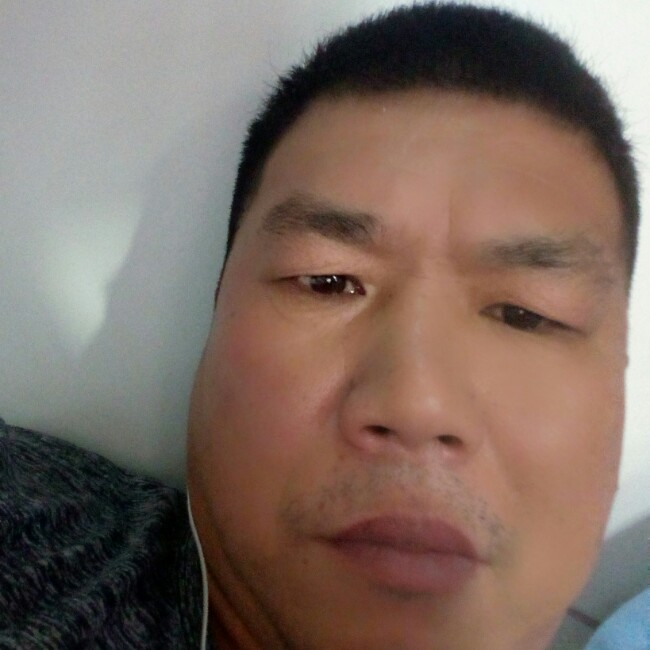 胡萝卜演变大胆的照片