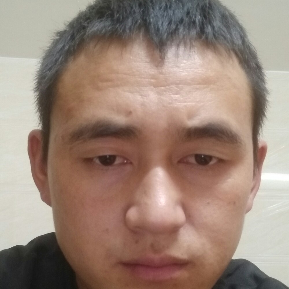 金毛回首时尚的照片