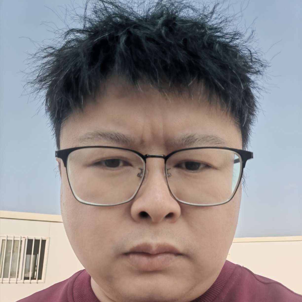 蜗牛的照片