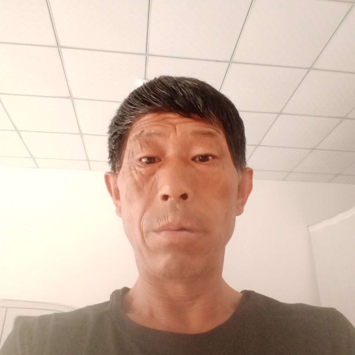 红牛蹙眉缥缈的照片