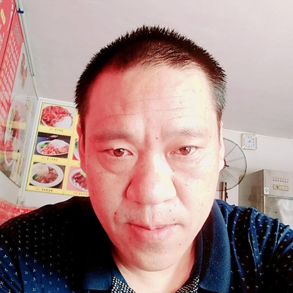 白猫等待独特的照片