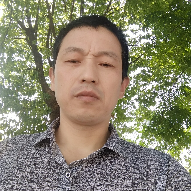 阳光明灿烂的照片