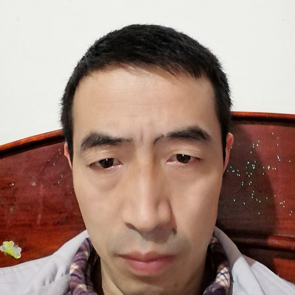善良的蜜峰的照片