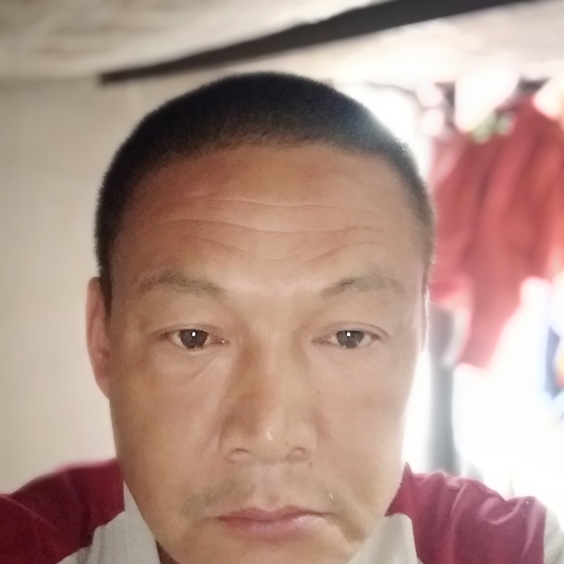 洋葱就沉默的照片
