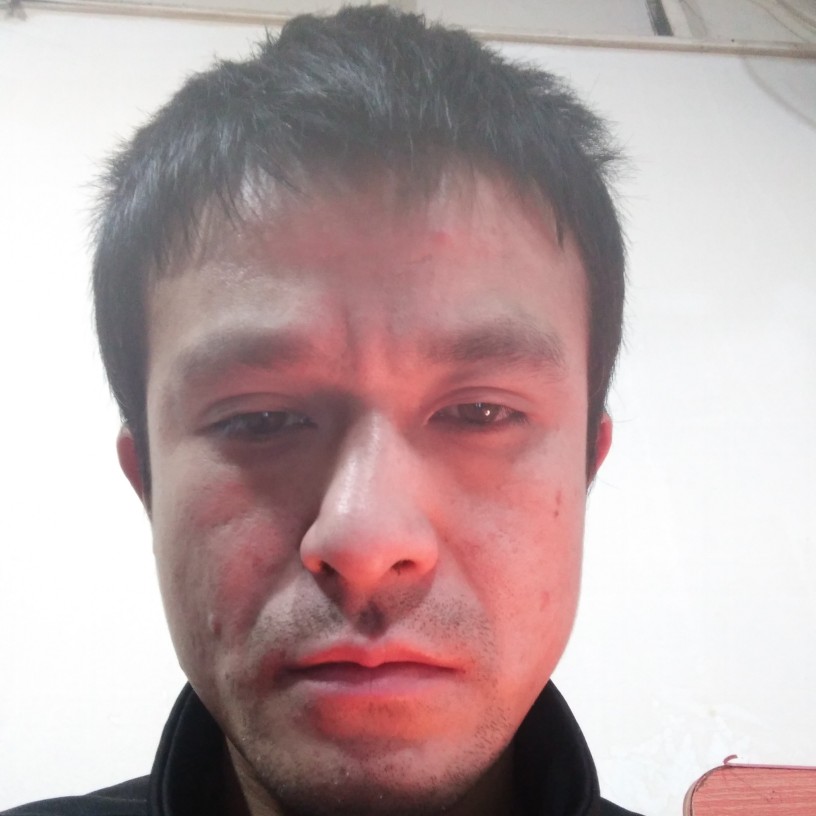 仙人掌等于隐忍的照片