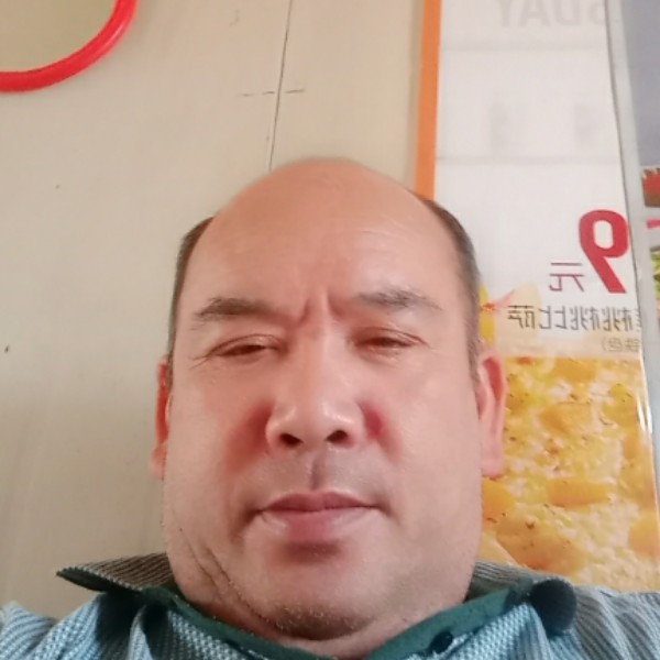 闪闪凝眸灰狼的照片