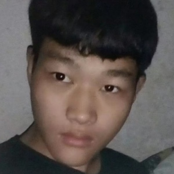 苹果邂逅鲜花的照片