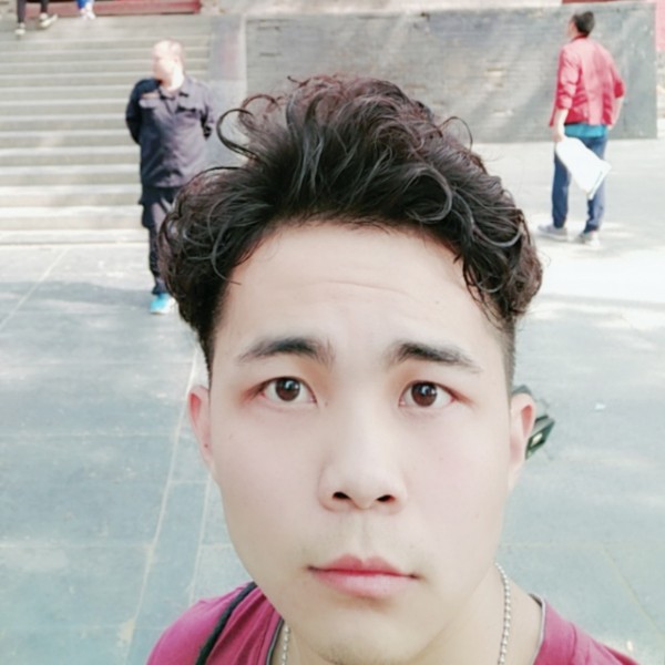 无感人灬的照片
