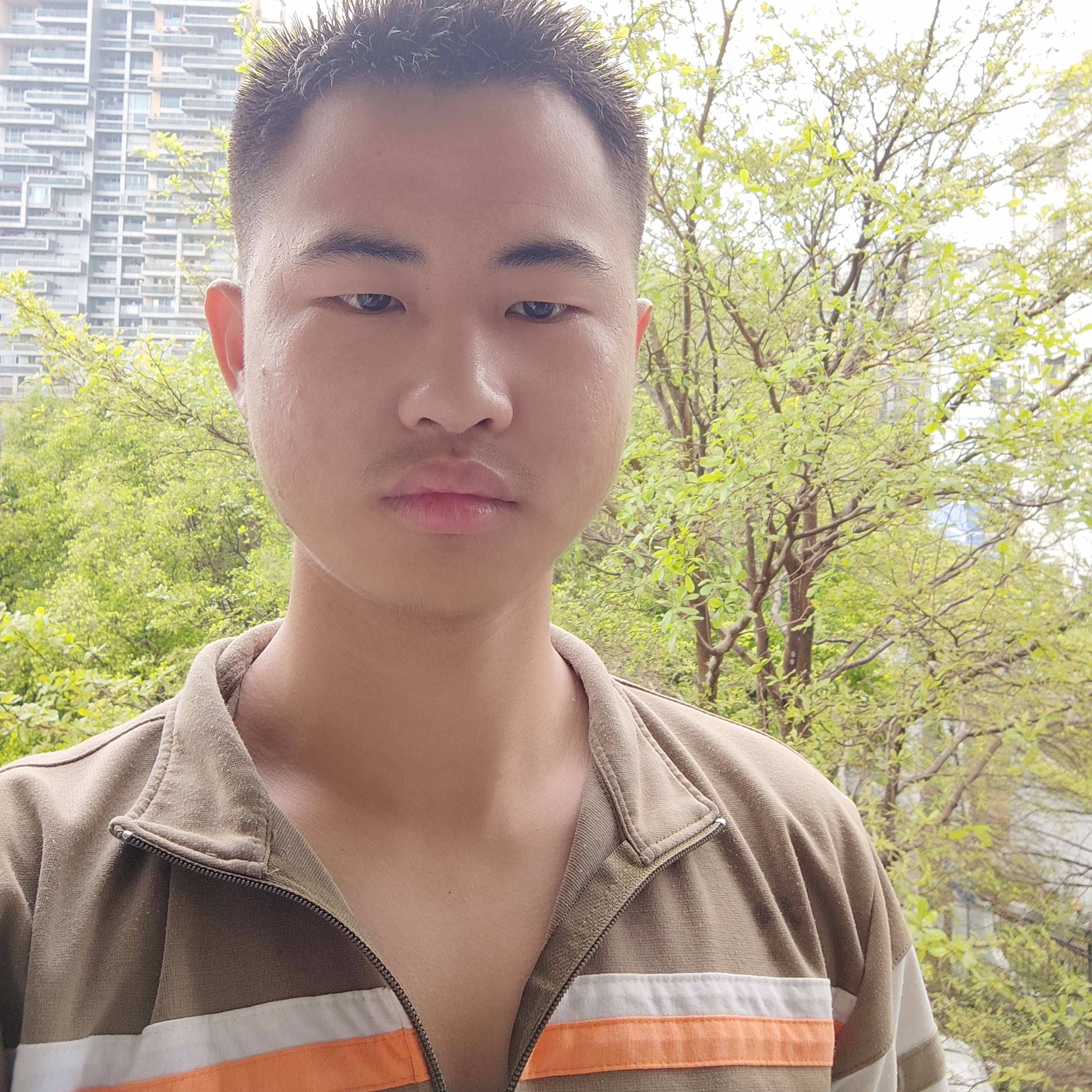 嚓茶威武的照片