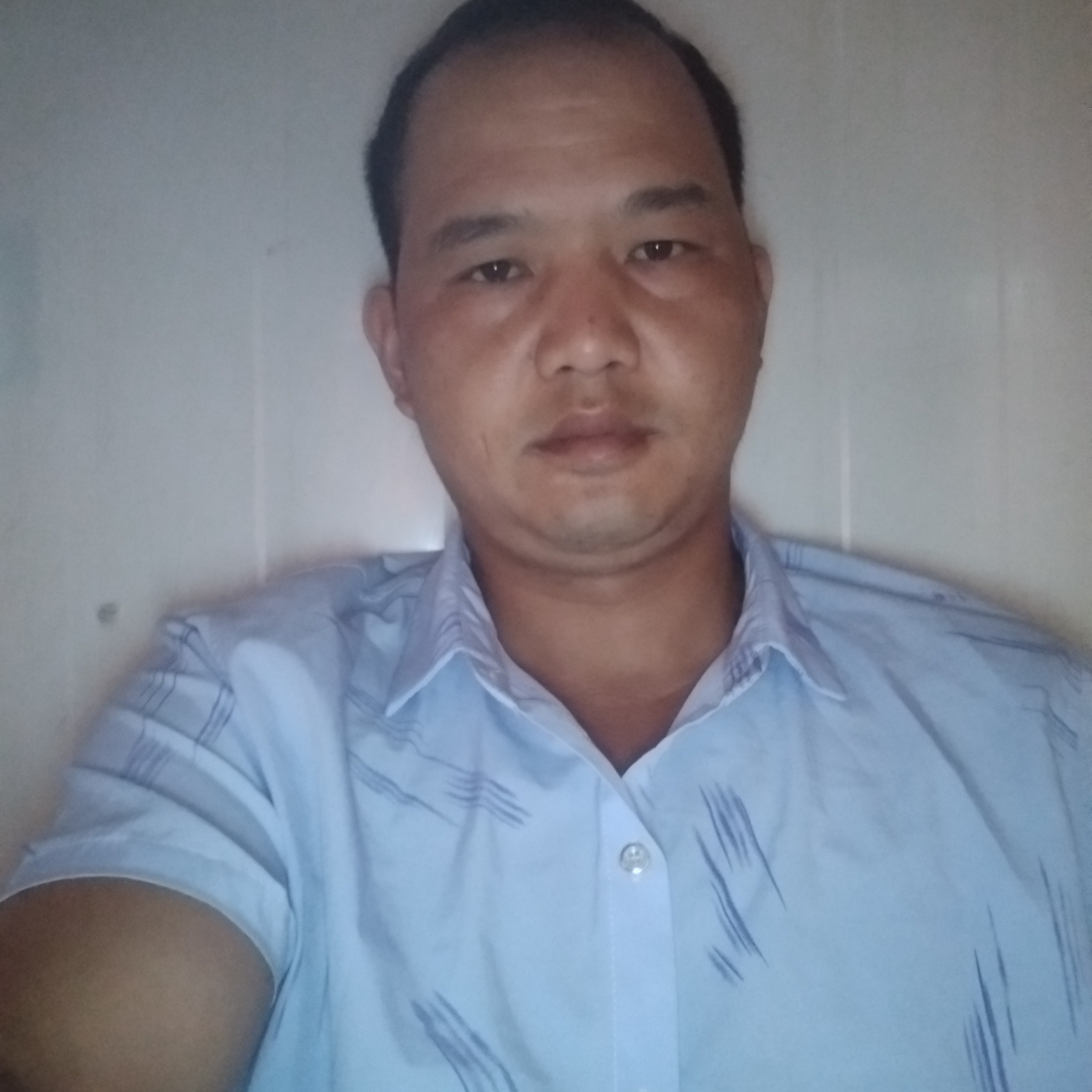 小蝴蝶多么糟糕的照片