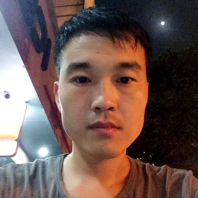 流浪的面包树的照片