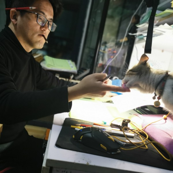 等爱的狐狸的照片