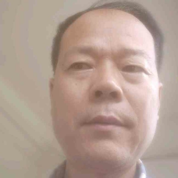 星雨单纯的照片