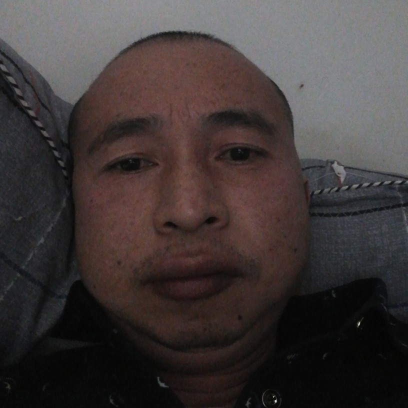 震动演变情话的照片