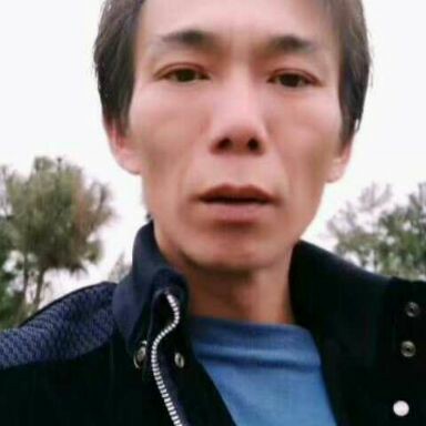 煎蛋回首鲤鱼的照片