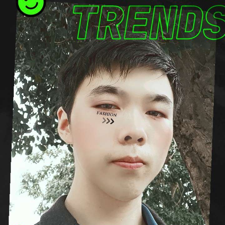 沉稳的一匹狼的照片