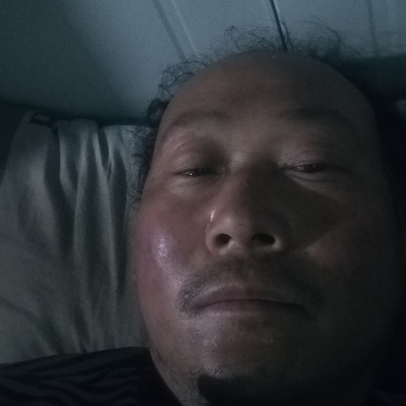 阳光下的油菜花的照片