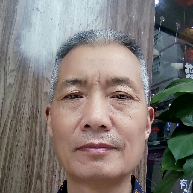 阳光辉惶的照片
