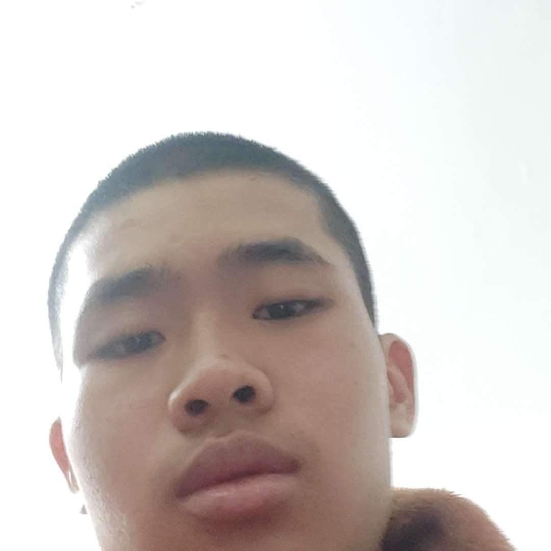 纯情的星雨的照片