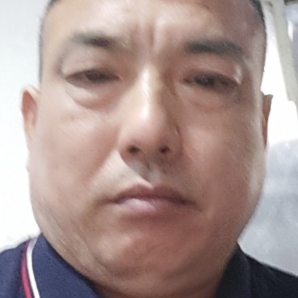 辉鹰的照片
